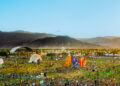 Coachella 2023 Lineup: Who Will Perform At Coachella 2023?
