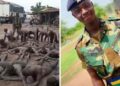 I Will Give Legal Representation to All Ashaiman Victims-Oliver Barker-Vormawor