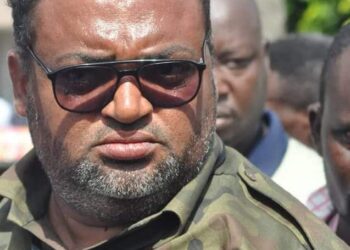2024 Election:You Slap, I Slap;You Kick, I Kick-Yamin to Brian Acheampong