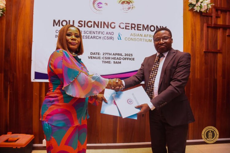 Another Boost for Rice Production: AAC, CSIR partner to Boost Rice Production in Ghana