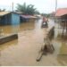 Akosombo Dam Spillage: Flood Victims Resort to Using Polluted Water