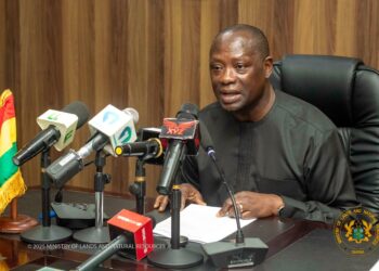 Illegal Miners are Terrorists Against the State; We Shall Wipe them Out-Lands Minister