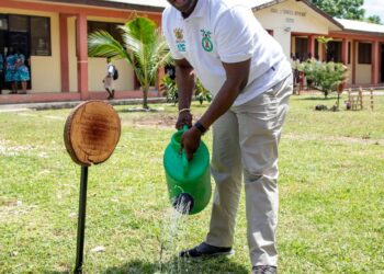 Ghana’s Green Revolution: Minister Urges Nation to Rally Behind ‘Tree for Life’ Initiative for a Sustainable Future