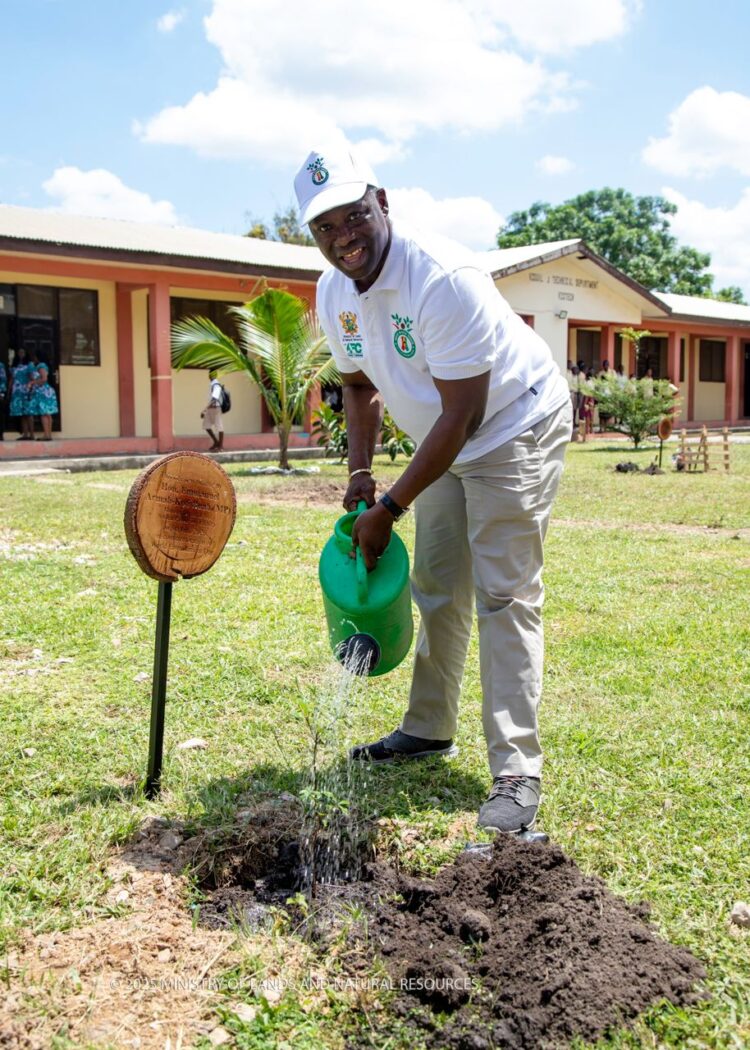 Ghana’s Green Revolution: Minister Urges Nation to Rally Behind ‘Tree for Life’ Initiative for a Sustainable Future
