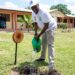 Ghana’s Green Revolution: Minister Urges Nation to Rally Behind ‘Tree for Life’ Initiative for a Sustainable Future