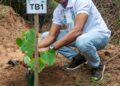 We Will Make Sure We Nurture the Trees We Plant to Grow- Deputy Lands Minister
