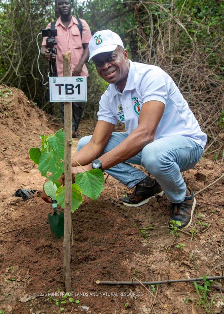 We Will Make Sure We Nurture the Trees We Plant to Grow- Deputy Lands Minister