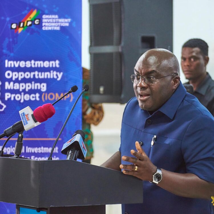 Chief of Staff Launches GIPC’s Investment Opportunity Mapping Project (IOMP).