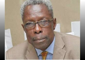 1060 Soldiers is all that is needed to end Galamsey -Tony Aidoo