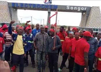 McDan Under Siege As Electrochem Staff Stage Demo Over Contract Termination