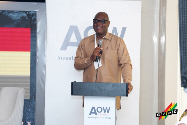 Invest in Ghana, we are ready for both fossil fuel, renewable energy projects – GIPC CEO