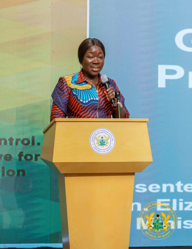 PROMOTE GHANA AS A BRAND-TRADE MINISTER URGES ENVOYS