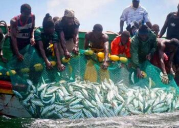 Old Wisdom, New Waves: Harnessing Traditional Knowledge for Smarter Fisheries Management
