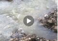 NAIMOS Operation Begins to Yield Results as once Dark Brown Flowing water Turns Clean