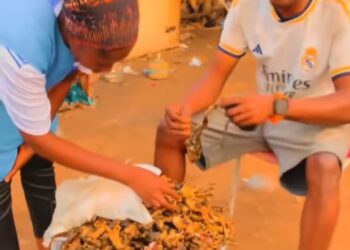 Fried Frog business Booms in Kumbungu