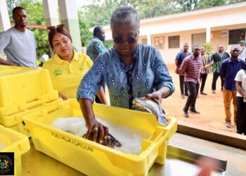 Fisheries Minister Orders Urgent Reforms at Fujian Farms After Facility Inspection, Warns of Shutdown for Non-Compliance