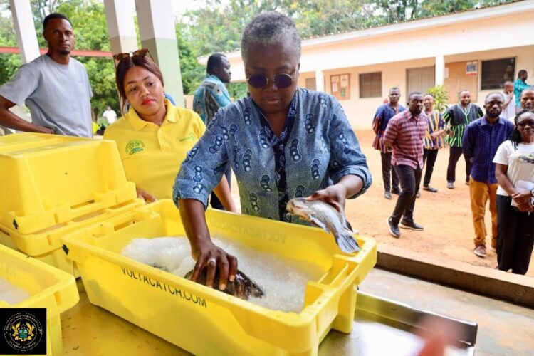Fisheries Minister Orders Urgent Reforms at Fujian Farms After Facility Inspection, Warns of Shutdown for Non-Compliance