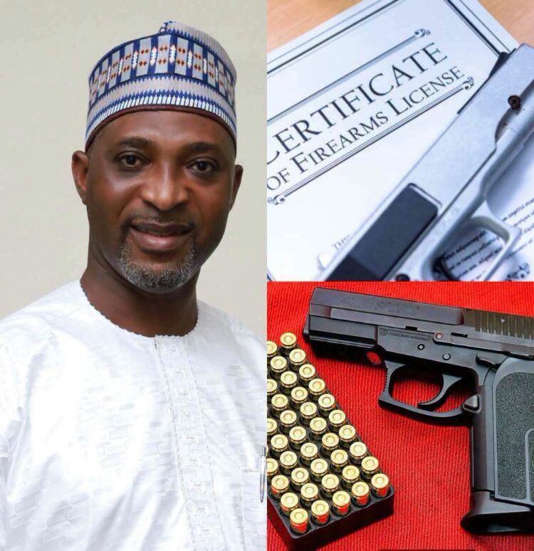 Seized Weapons fromGun Amnesty Program Will be Destroyed on July 9-Interior Minister