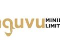 Nguvu Holdings Denies False Publication of “US$224 Million Share Fraud…Demands Retraction