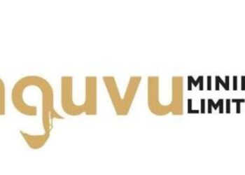 Nguvu Holdings Denies False Publication of “US$224 Million Share Fraud…Demands Retraction