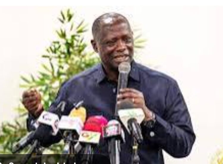Lands Minister Armah Kofi Buah Has Not Resigned from Goldbod Board-Lands Ministry Clarifies