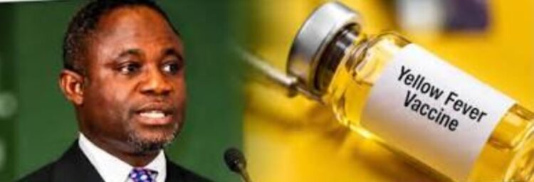 Yellow Fever Outbreak: Situation Under Control-Health Minister