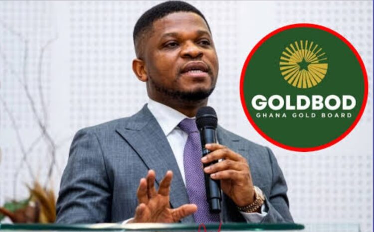 Sammy Gyamfi Did Not Endorse Illegal Mining-Goldbod Sets Record Straight